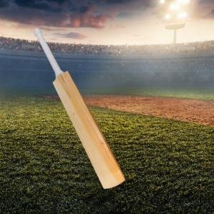 Kashmiri willow Grade A Leather Bat