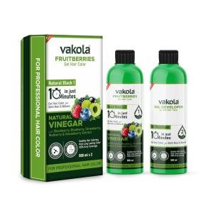Vakola Fruitberries Natural Black Long Lasting Natural Fruit Vinegar Professional Gel hair Color for Both Men & Women (100ml x 2(Black Gel Hair Color & Developer))